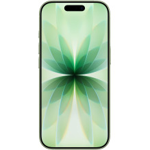 Apple iPhone 17 512GB - Sage Green DE