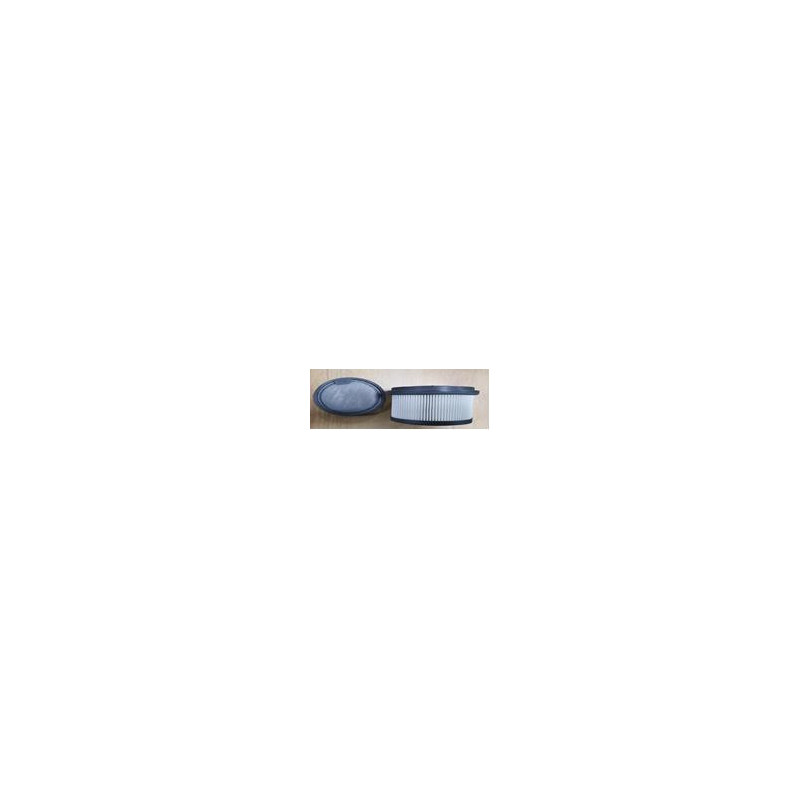 VACUUM ACC HEPA FILTER / T30 ATH5 DREAME