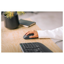 Logitech Signature Comfort Plus M850 L mouse