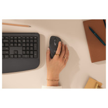 Logitech Signature Comfort Plus M850 L mouse