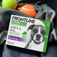 Frontline Combo Spot-on L - Parasite drops for dogs - 3 x 2,68 ml Frontline Combo Spot-on L - Parasite drops for dogs - 3 x 2,68 ml