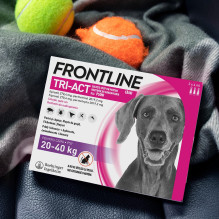 FRONTLINE Tri-act L 20-40 kg - Parasite drops for dogs - 3 x 4 ml. FRONTLINE Tri-act L 20-40 kg - Parasite drops for dogs - 3 x 4 ml.