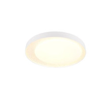 Šviestuvas plafonas Reality, LED,24W, 2700-6500K,2500lm, Ø45