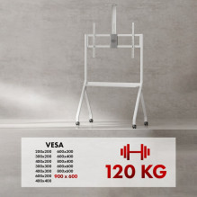 „Maclean“ televizoriaus stovas / vežimėlis, lentyna kamerai, su ratukais, 55–100 pėdų, maks. apkrova 120 kg / 10 kg lent „Maclean“ televizoriaus stovas / vežimėlis, lentyna kamerai, su ratukais, 55–100 pėdų, maks. apkrova 120 kg / 10 kg lent