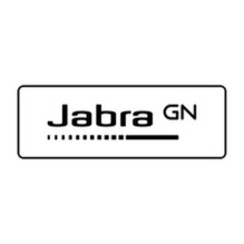 Jabra „Evolve 20“ specialaus leidimo MS stereo USB C / A