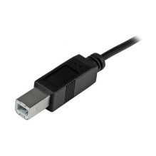StarTech 2m 6ft USB C to USB B Cable - USB 2.0 - USB Type C Printer Cable M / M - USB 2.0 Type-C to Type-B Cable StarTech 2m 6ft USB C to USB B Cable - USB 2.0 - USB Type C Printer Cable M / M - USB 2.0 Type-C to Type-B Cable