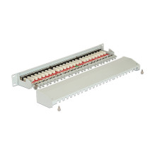 Delock 19? Patchpanel 24 Port Cat.6A grau