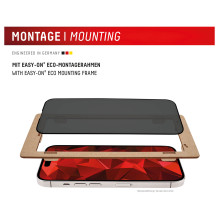 DISPLEX Privacy Full Cover Panzerglas (10H) for Samsung Galaxy S24+ / S25+