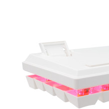 Baracuda DOLPHIN-W-RED BGK-03211 US Mechanical Red Switches, White Baracuda DOLPHIN-W-RED BGK-03211 US Mechanical Red Switches, White