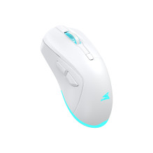 Baracuda TURTLE-W BGM-122, White Baracuda TURTLE-W BGM-122, White