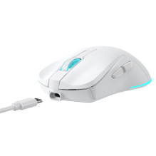 Baracuda TURTLE-W BGM-122, White Baracuda TURTLE-W BGM-122, White