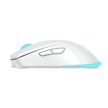 Baracuda TURTLE-W BGM-122, White Baracuda TURTLE-W BGM-122, White