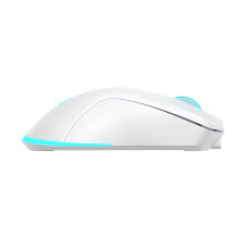 Baracuda TURTLE-W BGM-122, White Baracuda TURTLE-W BGM-122, White