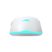 Baracuda TURTLE-W BGM-122, White Baracuda TURTLE-W BGM-122, White