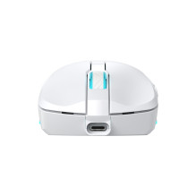 Baracuda TURTLE-W BGM-122, White
