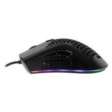 Baracuda CORAL-B BGM-031,l Black