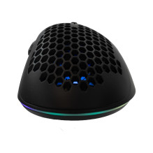 Baracuda CORAL-B BGM-031,l Black