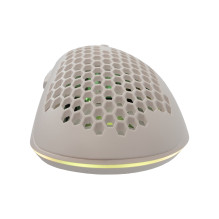 Baracuda CORAL-W BGM-032, White