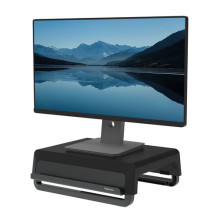 Fellowes Monitor stand...