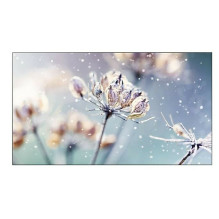 Samsung Digital Signage...
