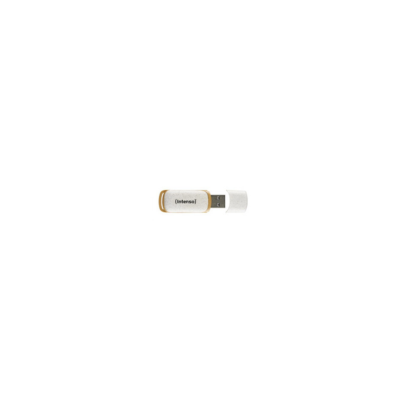 Intenso Green Line 64GB USB Stick 3.2 Gen 1