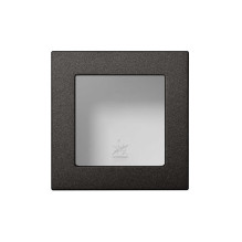 Frame Liregus Epsilon,...