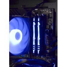 Actina 5901443335832 PC AMD Ryzen™ 5 5600 16 GB DDR4-SDRAM 1 TB SSD AMD Radeon RX 7600 Mini Tower Black