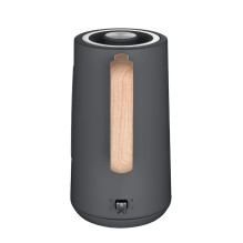 Electric Kettle - Concept RK3370 1.7L stainless steel gray