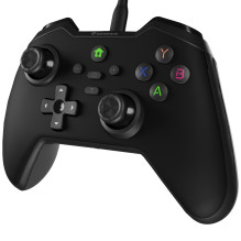Genesis Mangan 300, Black