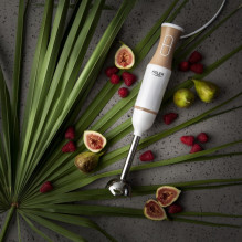 Adler AD 4616 Immersion blender Adler AD 4616 Immersion blender