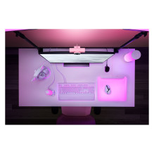 Razer Kiyo V2 X internetinė kamera Razer Kiyo V2 X internetinė kamera
