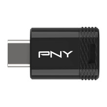 STICK PNY Elite-X Fit - USB atmintinė - 256 GB