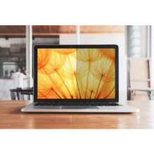 3M Bright Screen Blickschutzf. 14.5" (16:10) BP145W1B 3M Bright Screen Blickschutzf. 14.5" (16:10) BP145W1B
