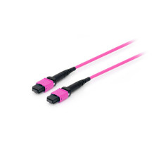Equip Patchkabel MTP- MTP...