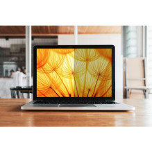 3M Bright Screen Blickschutzf. 12.3" (3:2) BP123C3E