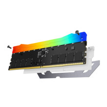 Atmintis Kingston Fury Renegade RGB, DDR5, 24 GB, 8400MHz, CL40 (KF584CU40RWA-24)