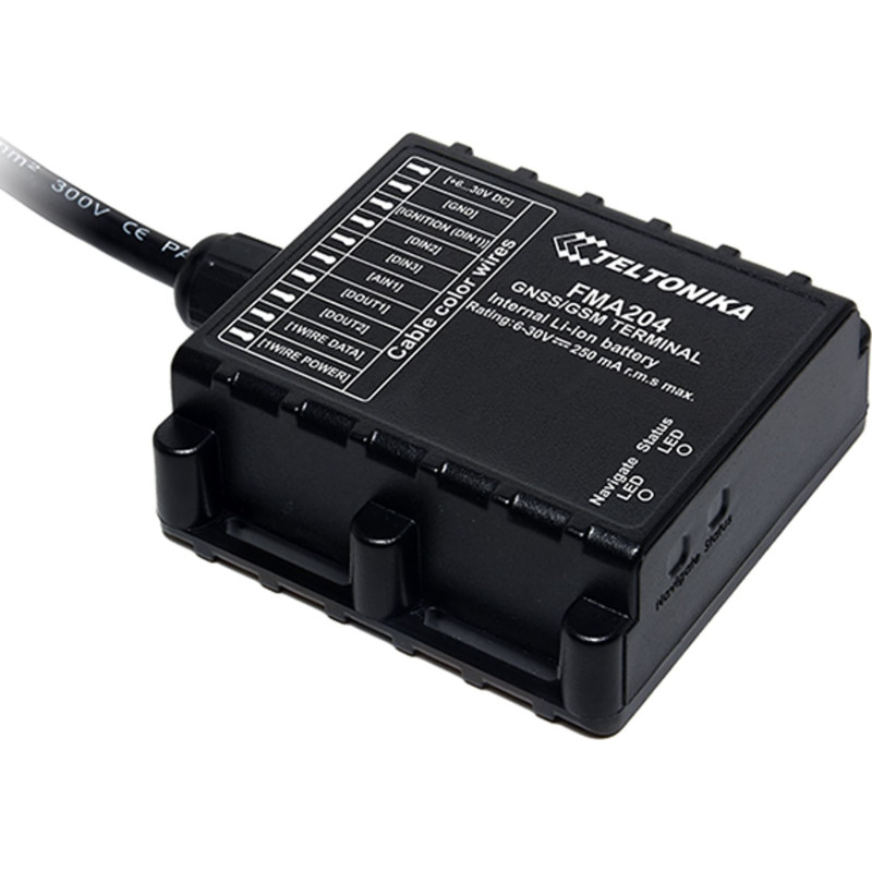 Teltonika FMB204 GPS seklys