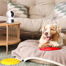 Arenti Indoor Wi-Fi 3MP+3MP Dual-lens Pan-Tilt Camera Arenti Indoor Wi-Fi 3MP+3MP Dual-lens Pan-Tilt Camera
