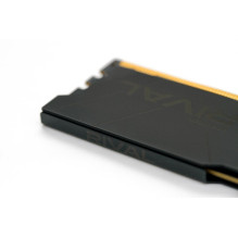 Goodram *DDR4 Rival Deep Black 16GB(1*16) / 3600 CL18 memory module 1 x 16 GB 3600 MT / s 288-pin DIMM