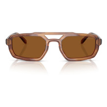 SUNGLASSES EMPORIO ARMANI MAN EA4240U620373 (Lens / Bridge / Temple) 53 / 22 / 145 mm)
