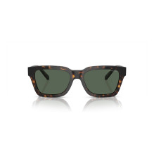 SUNGLASSES ARNETTE MAN AN4334-122271 (Lens / Bridge / Temple) 64 / 18 / 130 mm)