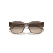 SUNGLASSES ARNETTE MAN AN4325-290613 (Lens / Bridge / Temple) 53 / 21 / 145 mm)