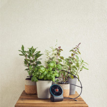 Gardena Solar-Bewersät AquaBloom Set (Gray, for up to 20 Pflanzen)