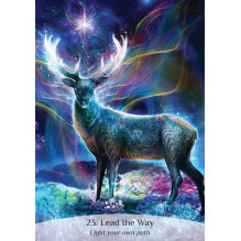 Sacred Spirit Oracle Cards Rockpool Sacred Spirit Oracle Cards Rockpool