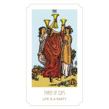 Tarot Young Feel The Vibes Kortos Dusserre by Cartamundi Tarot Young Feel The Vibes Kortos Dusserre by Cartamundi