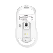 White Shark GAWAIN-W 500mAh / 12000DPI / 56g, White