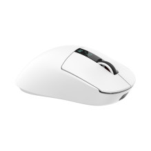 White Shark GAWAIN-W 500mAh / 12000DPI / 56g, White