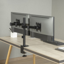 Dual 17'-32' monitor mount