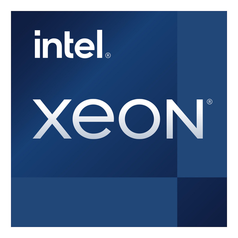 INTEL Xeon E-2314 2,8 GHz LGA 1200 8M talpyklos dėklo procesorius