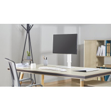 MONITORIAUS ACC STALO STOVAS 17-32" / MS-D1ST-02 GEMBIRD